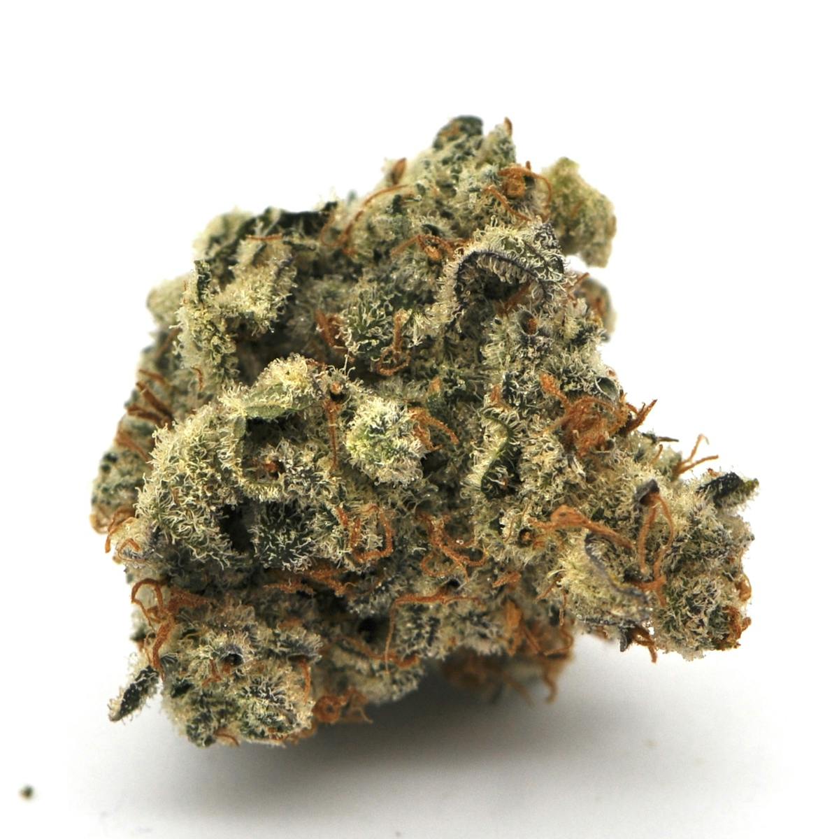 Image of Runtz GMO | 3.5g Prepackaged Flower