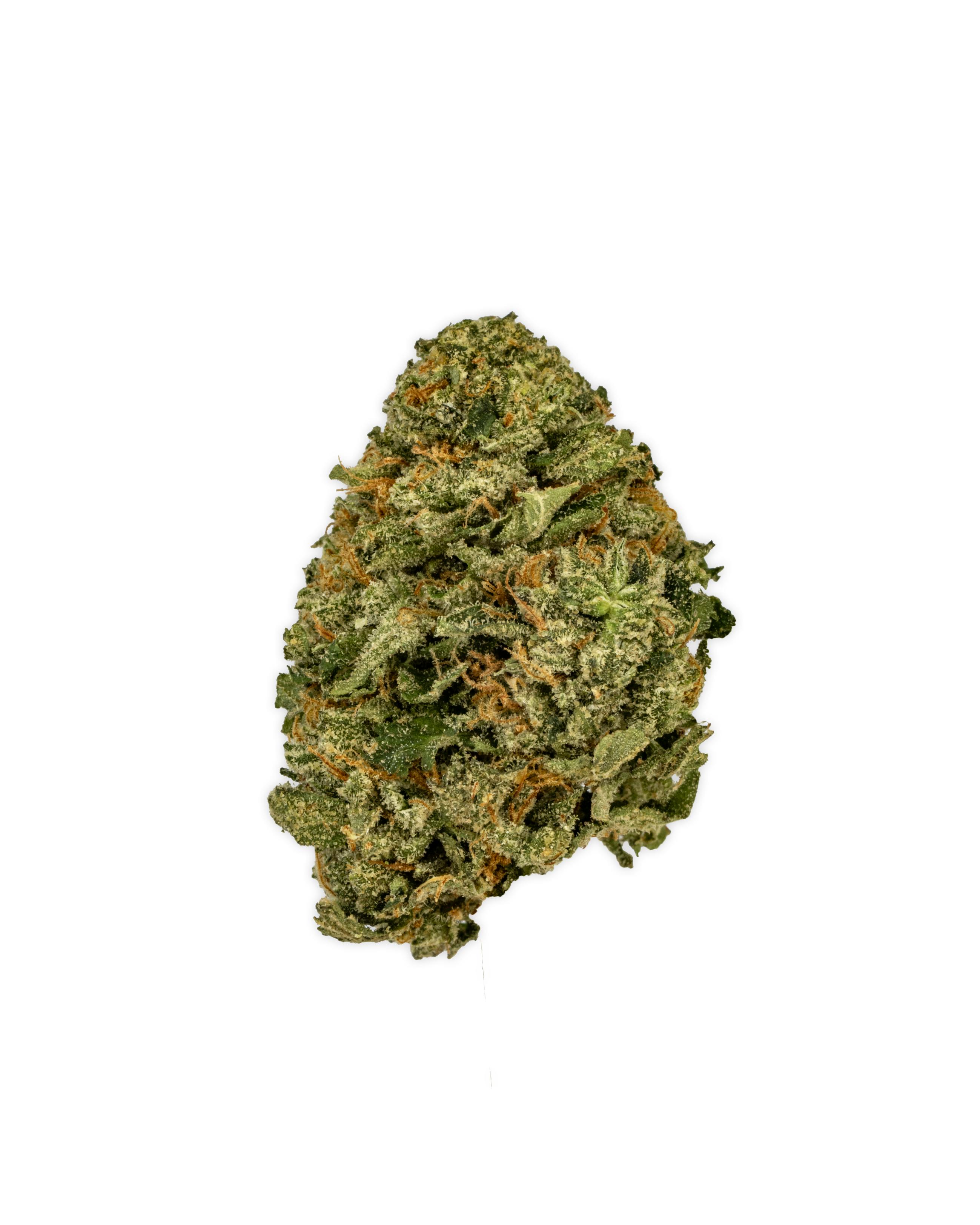 Shop Good Green Indoor DURBAN Z in New York | Gotham NYC Dispensary