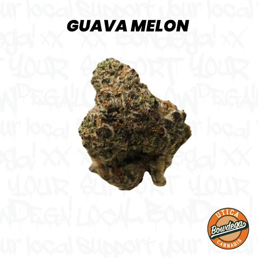 Bowdega | Guava Melon