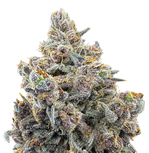 Fruit Pebblez | 3.5g-1