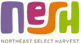 dispensary logo