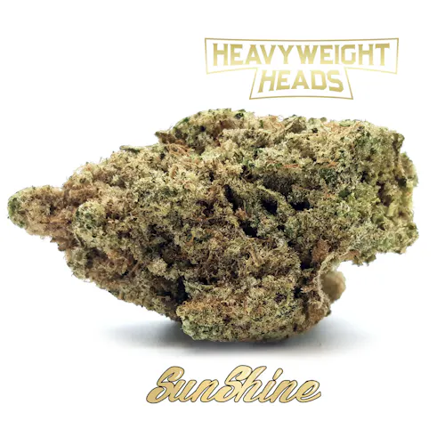 Heavyweight Heads Sunshine Prepack Rec-1