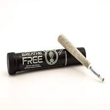 Photo of Guava Biscotti | 1g