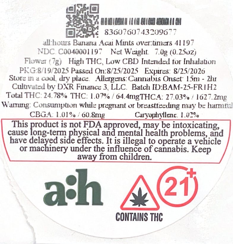 all:hours Banana Acai Mints over:timers 41197 | INSA Inc. Hartford
