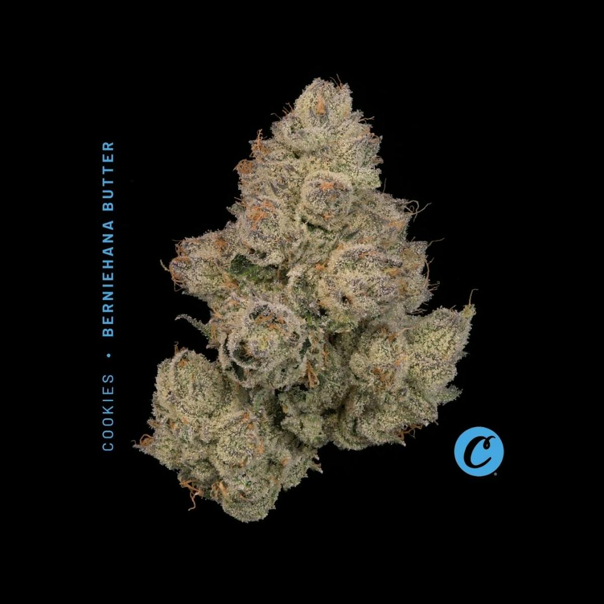 Photo of | Berniehana Butter |