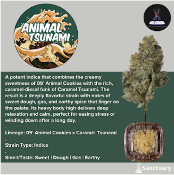 Animal Tsunami (IH) | 28g | Flower | 31.79%