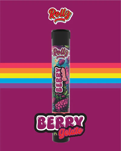 Rollz - 1g Infused Preroll - Berry Gelato