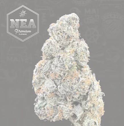 Product NEA Fire | Pink Breath | Flower