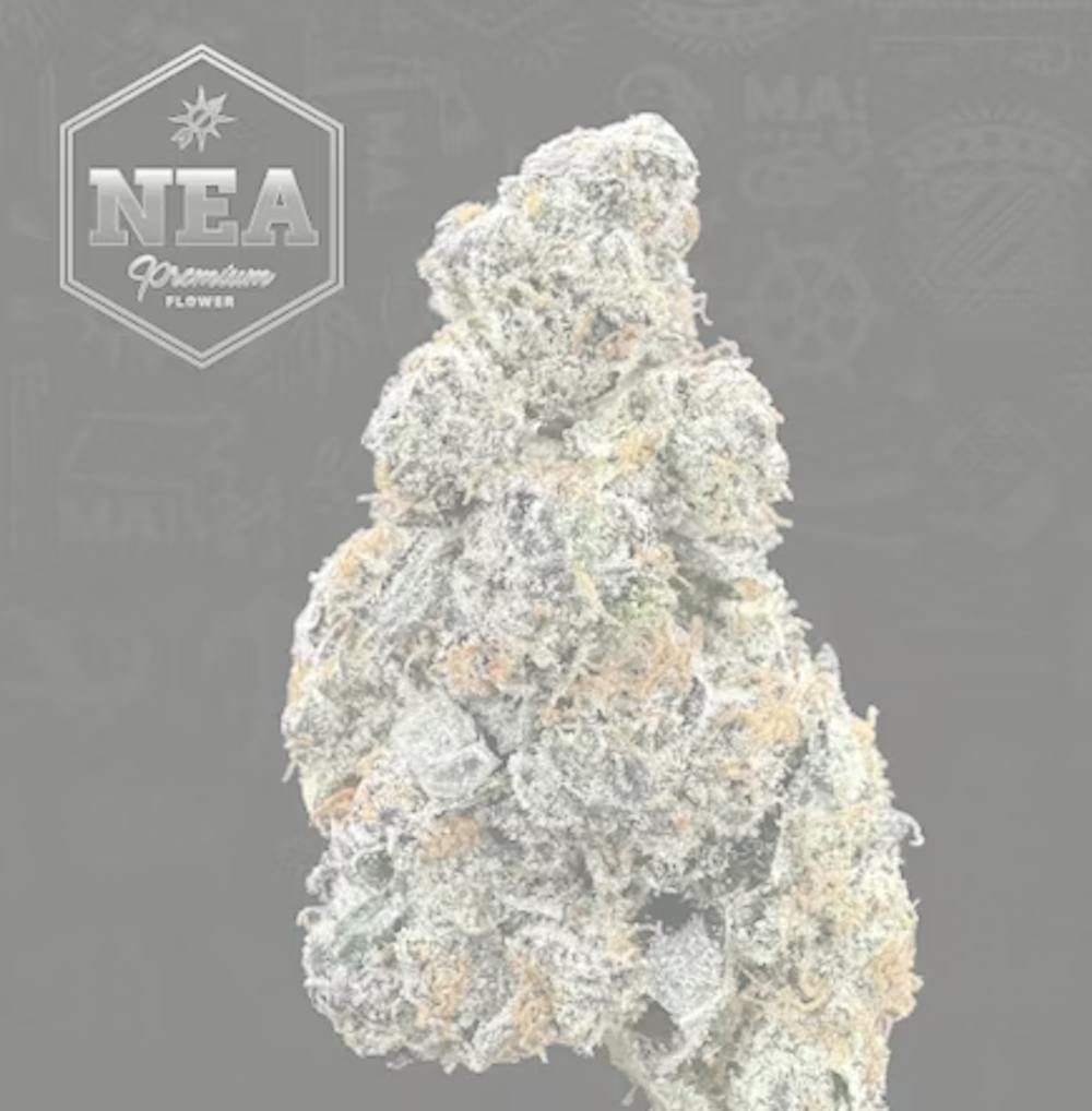 Product NEA Fire | Pink Breath | Flower