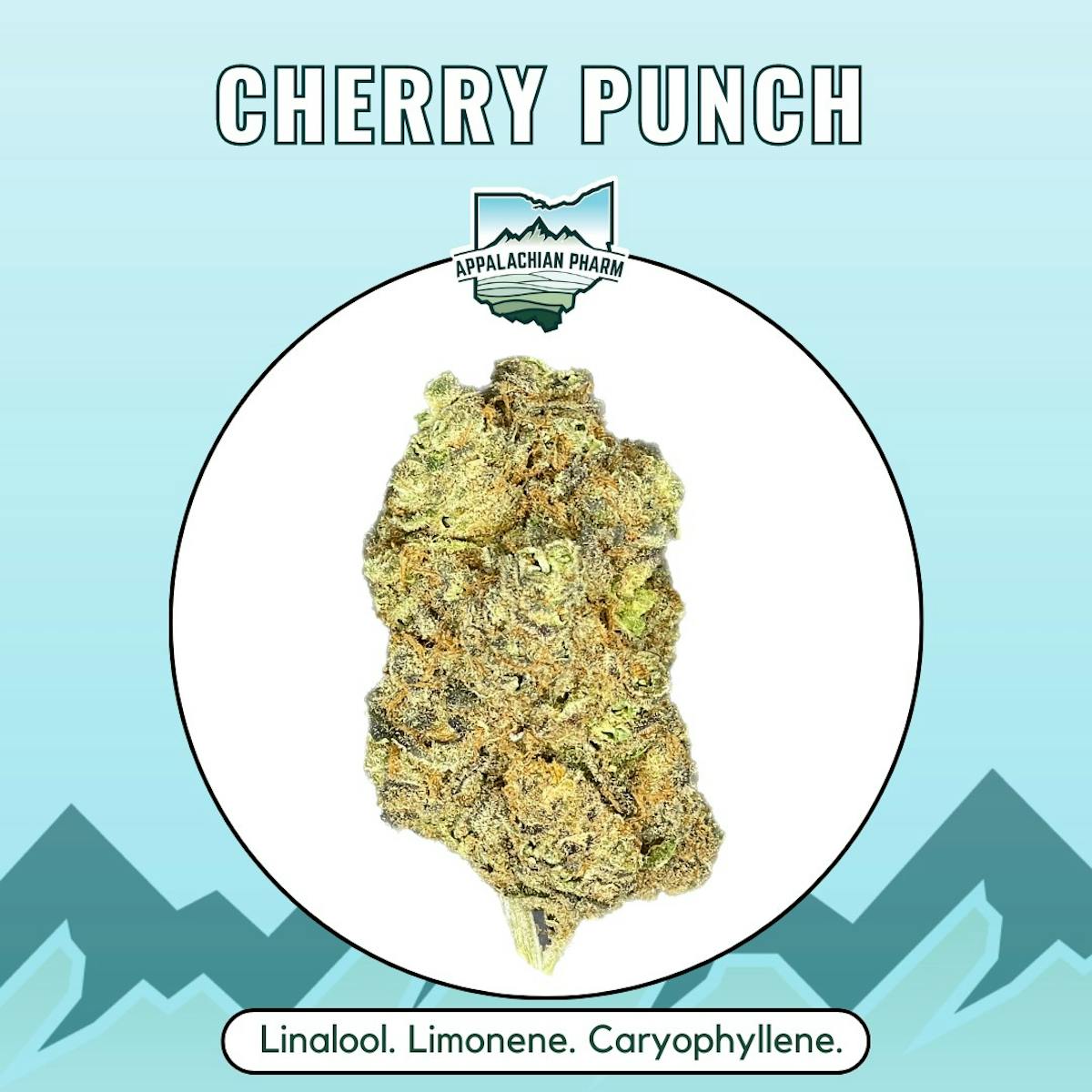 Photo of Cherry Punch Small Buds