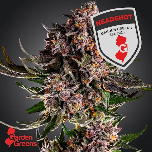 Garden Greens Mixed Nugs Headshot 14g (hybrid, flower)