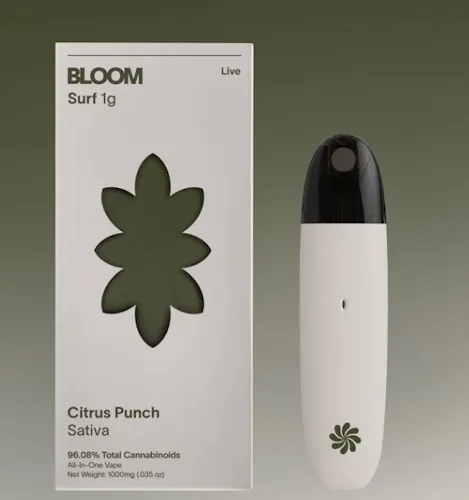 Live Surf – Citrus Punch | AIO | 1g-active