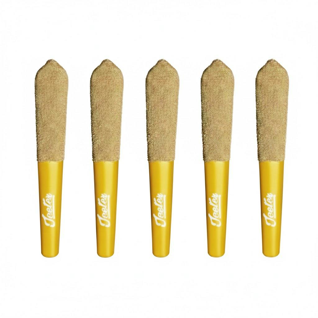 Pina Colada Quad