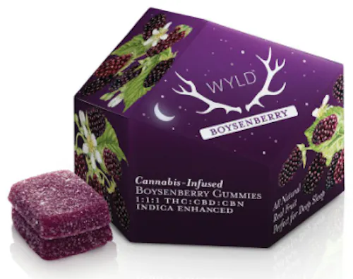 Boysenberry Gummies | 1:1:1 CBD:CBN + Indica Enhanced | 10mg x 10-1