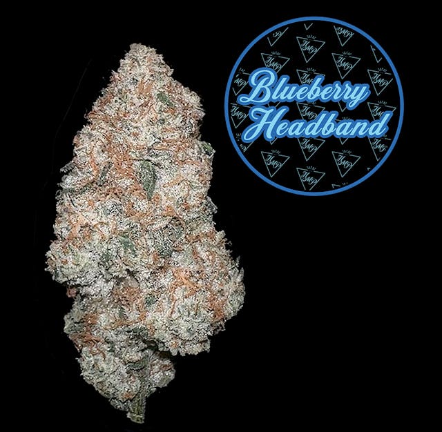 Blueberry Headband (H) - 3.5g Flower - Highmark Provisions - Image 1