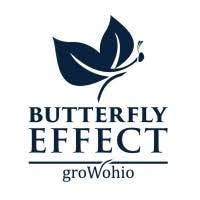 Butterfly Effect Grmpz - Budlets