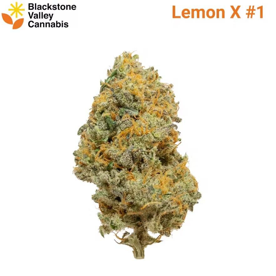 Product Lemon X - Flower