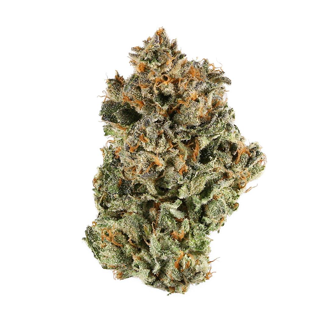 Product: GATSBY CANNABIS CO. | SUNSET SHERBERT HYBRID