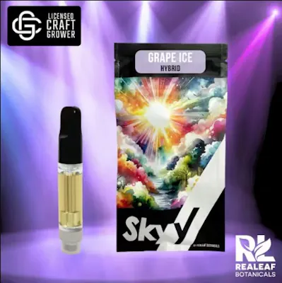 Skyy – Purple Urkle – Disposable 2g – Share Dispensary