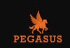 20% Off Pegasus Products 
