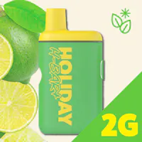 Product Holiday - Day Trip Disposable Vape (2g)