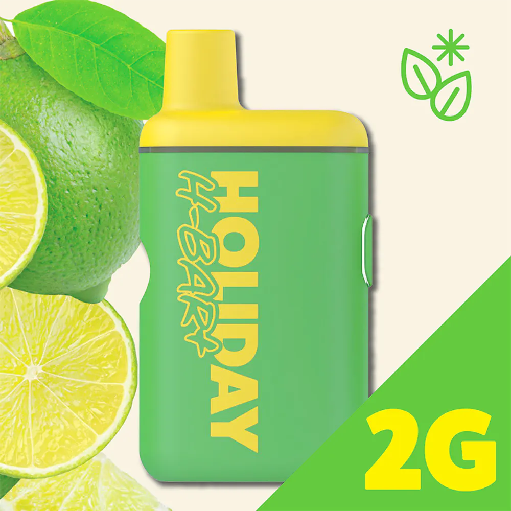 Product Holiday - Day Trip Disposable Vape (2g)