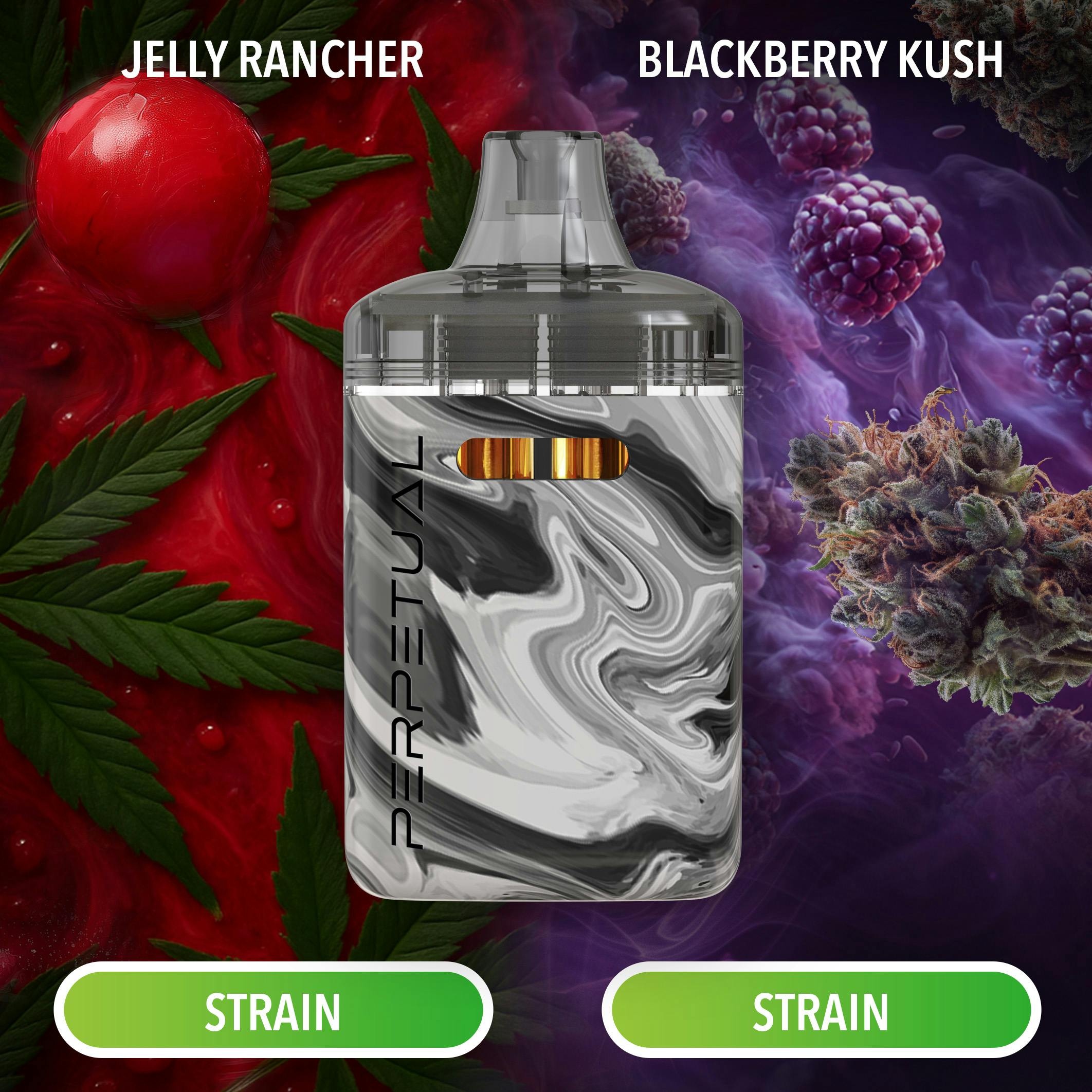 Product Perpetual | Jelly Rancher & Blackberry Kush | All in One Duo Disposable 2g