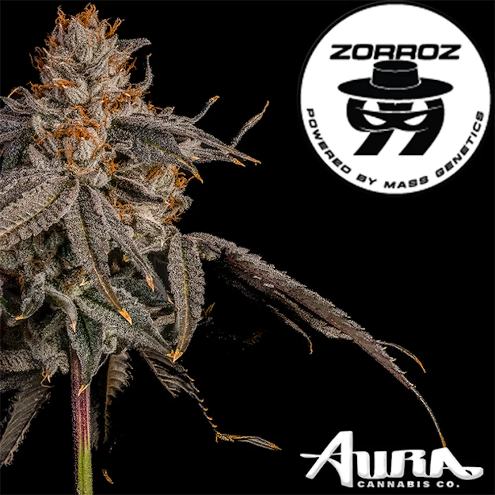 Product Aura | Zorroz 99 | Flower