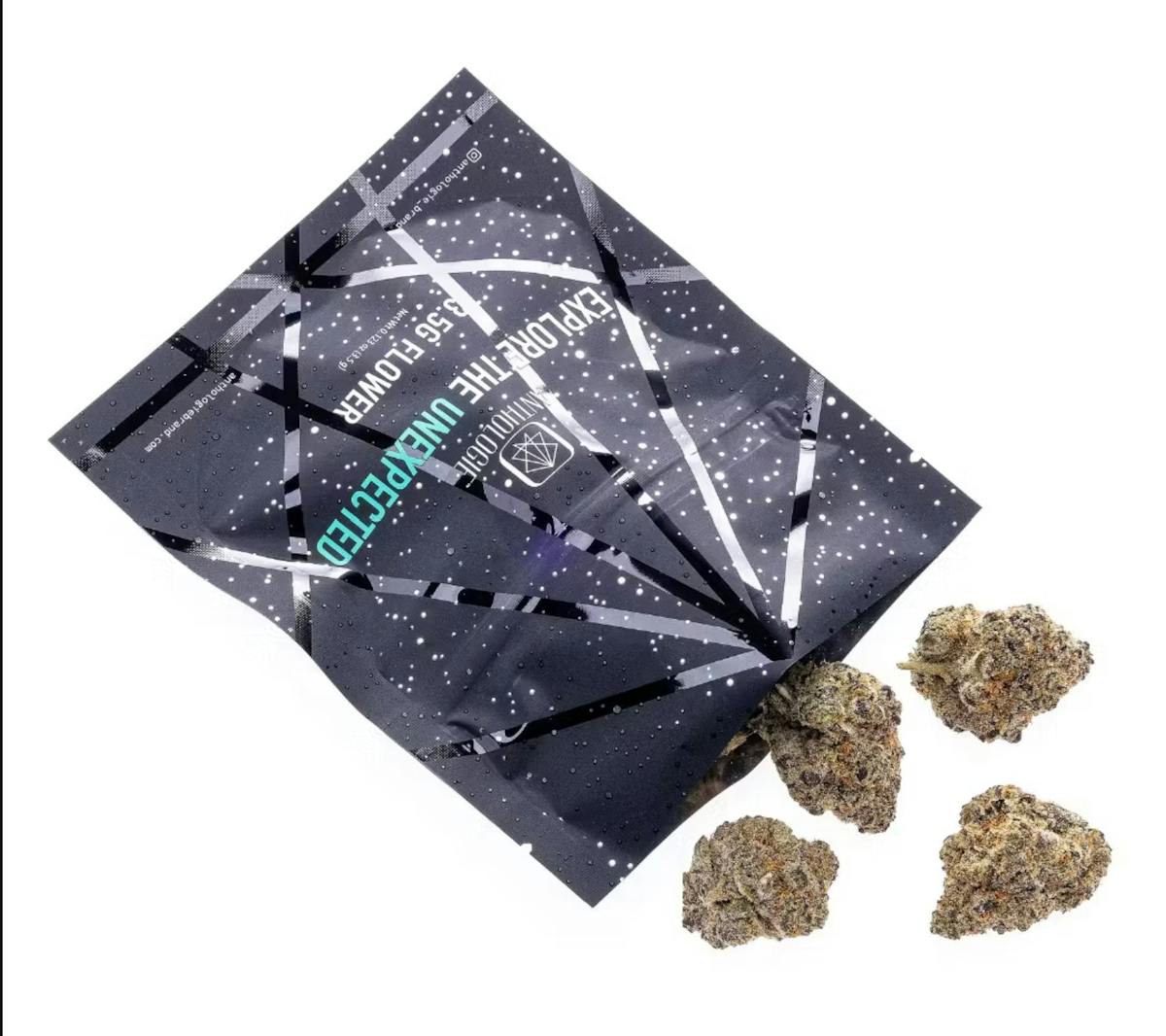Photo of Anthologie | Lilac Diesel | Flower