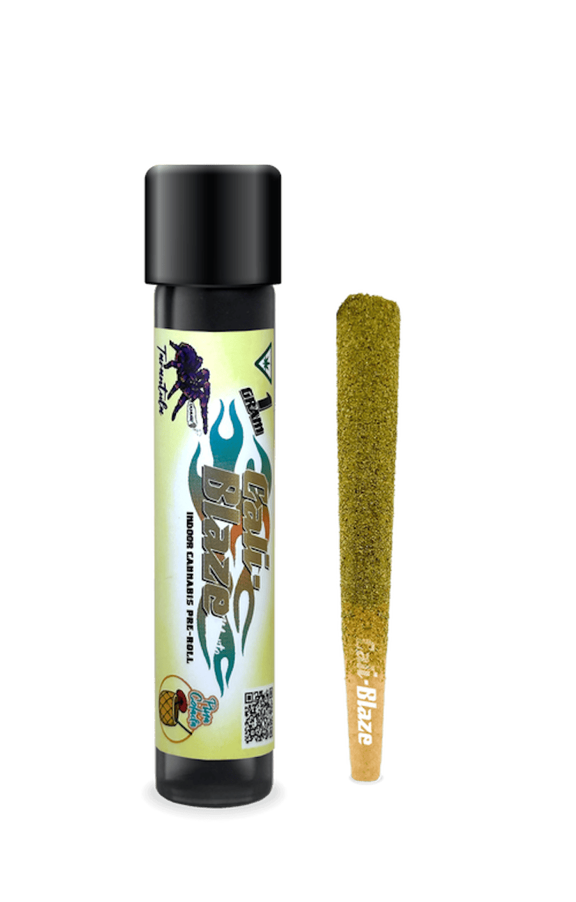 Pina Colada Tarantula | 1g