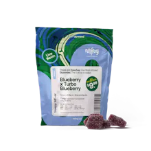 MFNY - 100mg Live Resin Gummies - Blueberry Raz x Turbo Blueberry