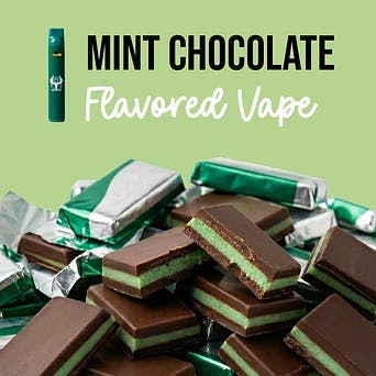 vape chocolate flavour Mint Chocolate All In One Vape 1g | Lazy River Products