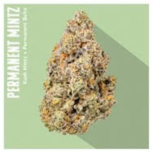 INSA Permanent Mintz 3.5g-1