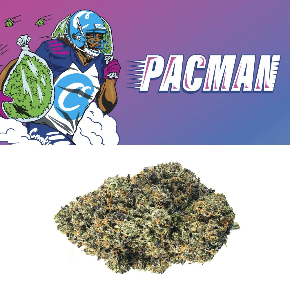 Cookies x Pacman Pacman Indoor Flower Tub Cookies Hayward