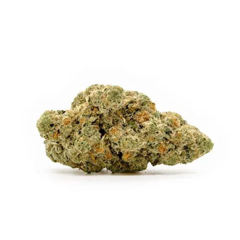 Bud & Mary's | Bulk Bud - Hot Rod