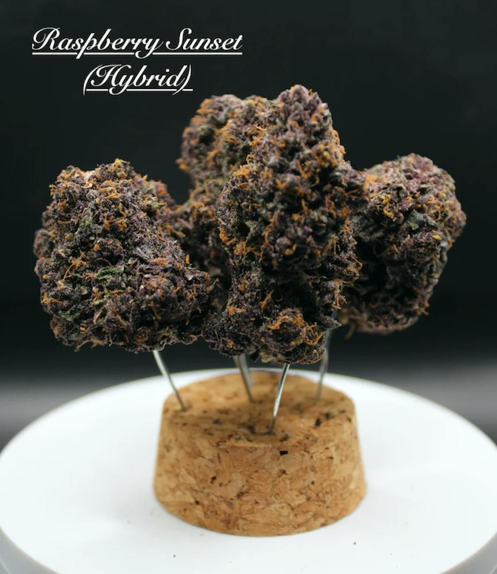 Product Raspberry Sunset - Flower