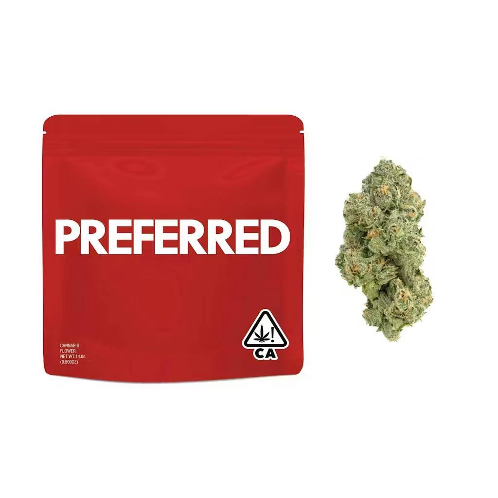 Preferred - 14g - Verzace BX