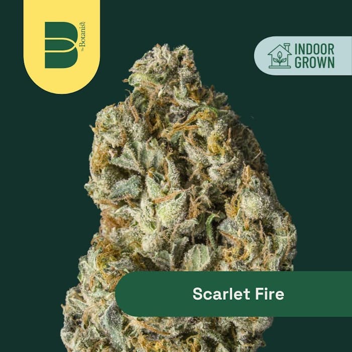 Scarlet Fire | Flower | 14g by The Botanist | Buy Online