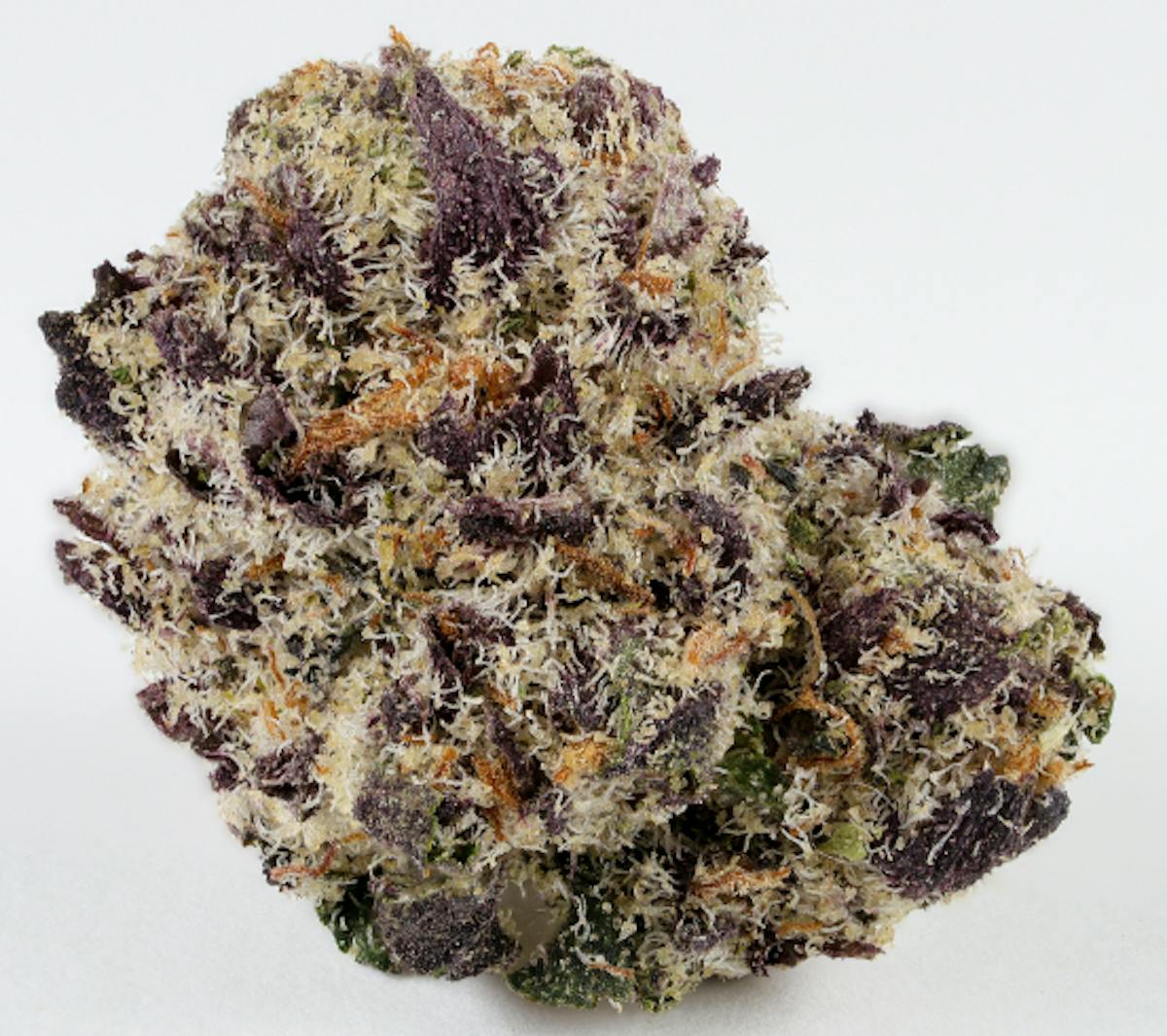 Photo of Platinum Shelf – Aqua Berry (I)