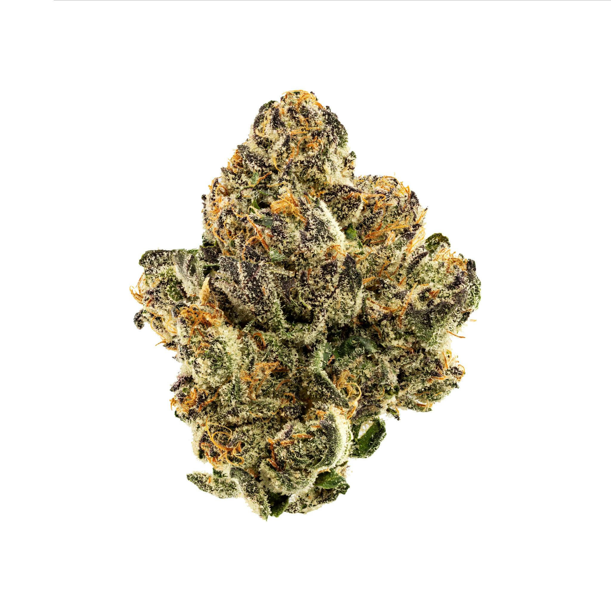 Gelato Cake