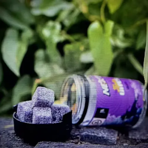 NEXT ‘Nectar Bites’ | Grape | 10mg/Gummy | 10pk-1
