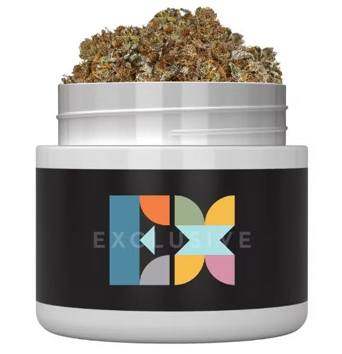 Blair Wellness Center