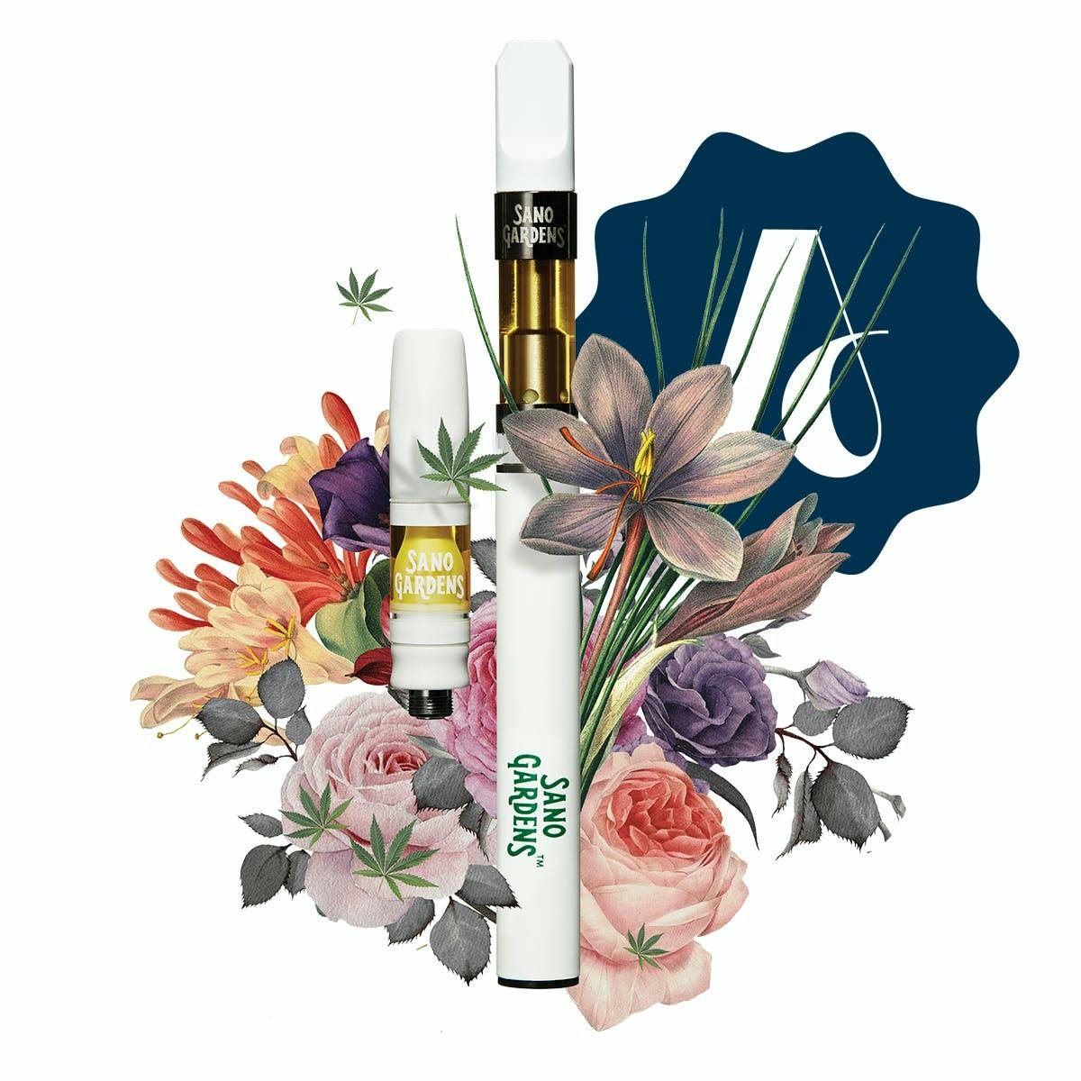 Photo of Sano Gardens – AIO – Livex – Kush Mints (H)