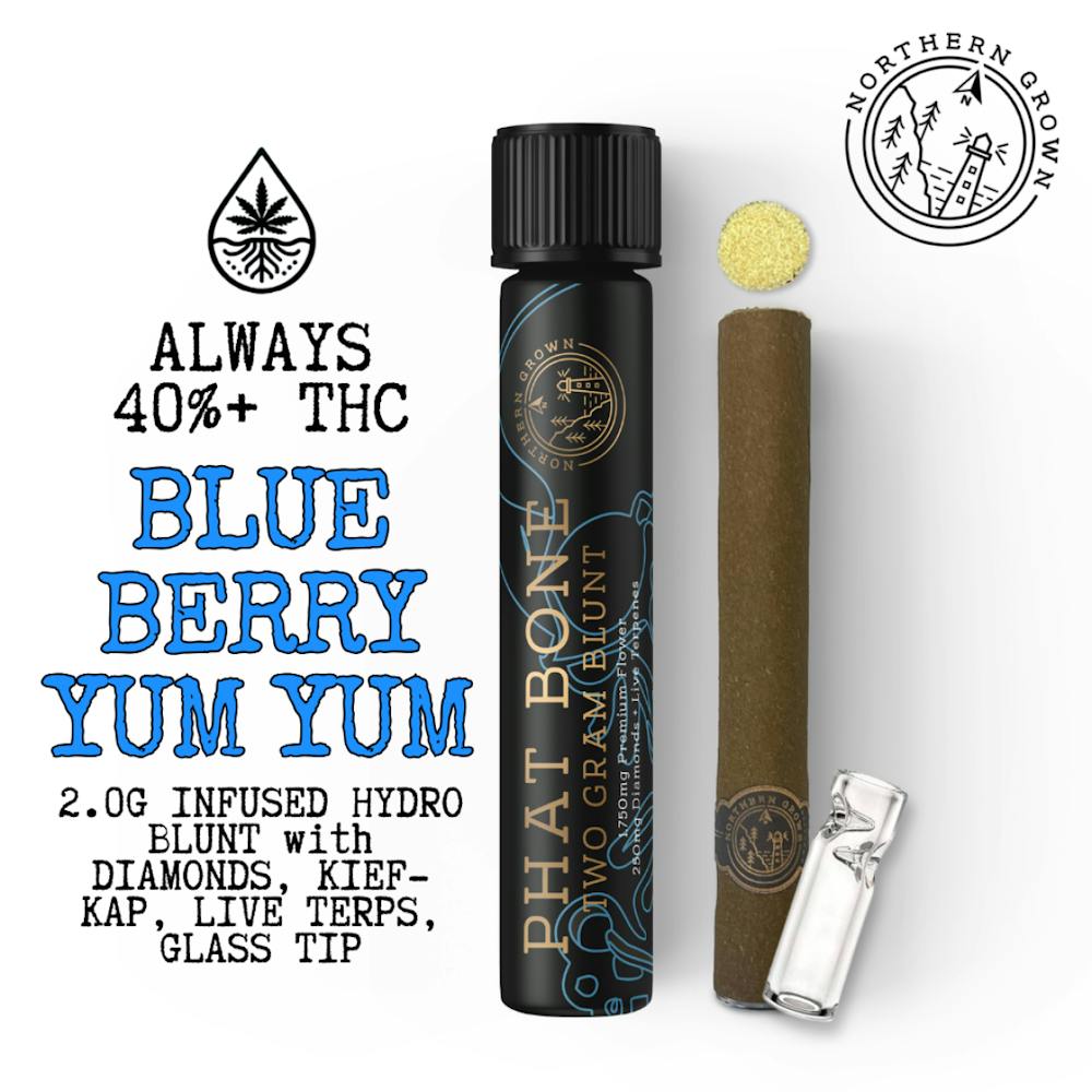 Product Blueberry Yum Yum (I) Phat Bone Infused Cannagar | Pre Rolls | 2g