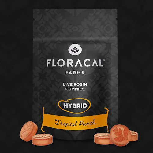 Tropical Punch (H)  – Live Rosin Gummies (100mg) – Floracal-3