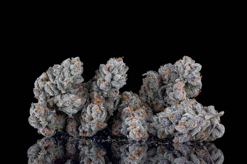 Noble Valley | Flower | Oh-Asis 1 | 7g-1