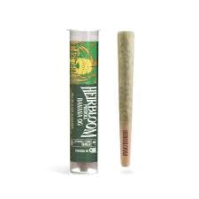 BANANA OG PREROLL