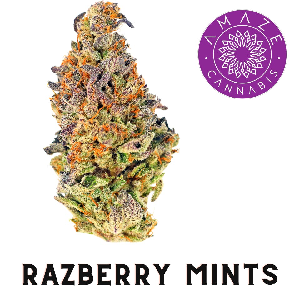 Photo of Razzberry Mints | 3.5g