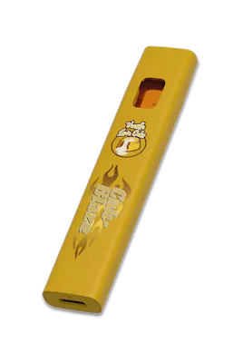 Disposable Vape Massachusetts