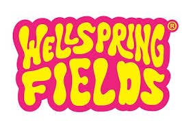 Wellspring Fields Lemonade Elixer